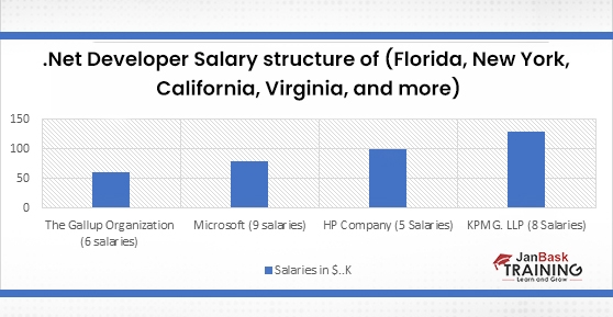 .Net Developer Salary