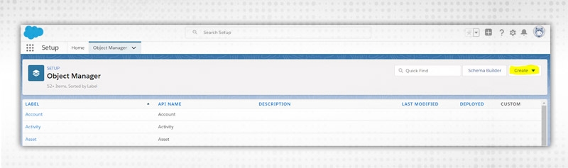Custom Objects in Salesforce