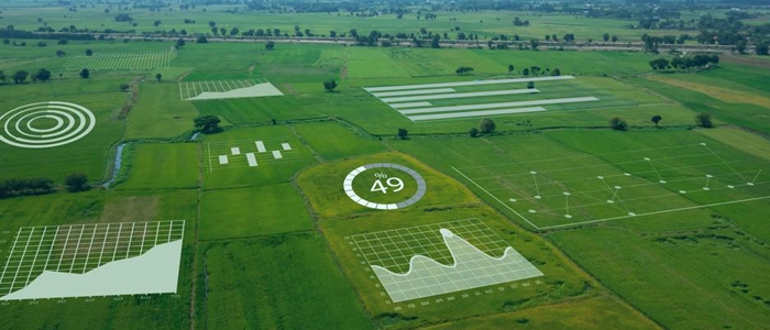 AI In Agriculture Sector