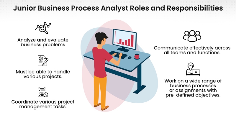 Junior Business Process Analyst