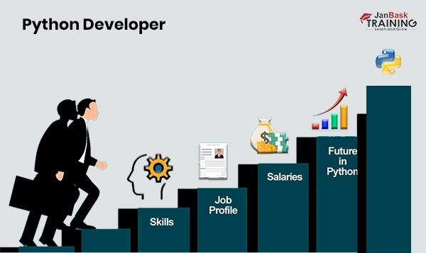 python  developer