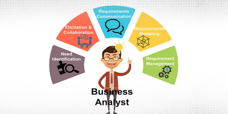 Business Analysts 