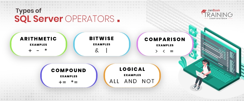 What is Database Query? Database Query Statements, Types & Uses