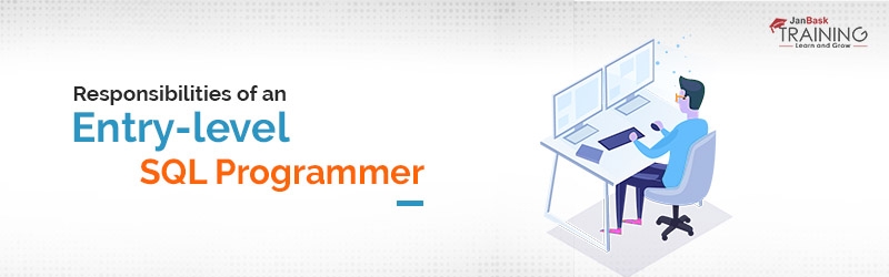 What are the responsibilities of an entry-level SQL programmer?