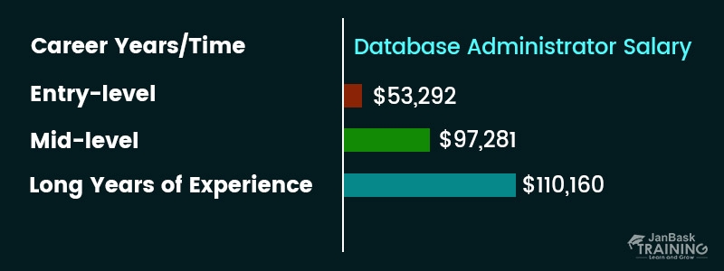 Database Administrator