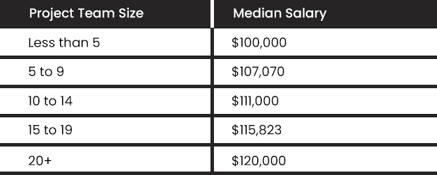 Pay As Per Team Size