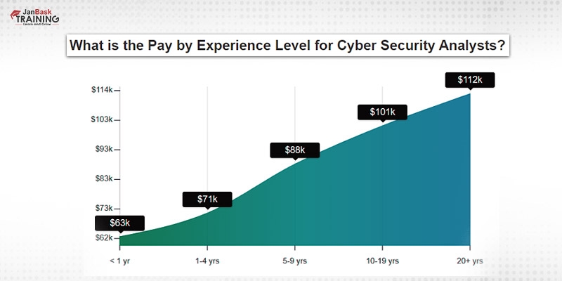 Cyber–Security Analyst